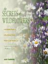 Cover image for Secrets of Wildflowers